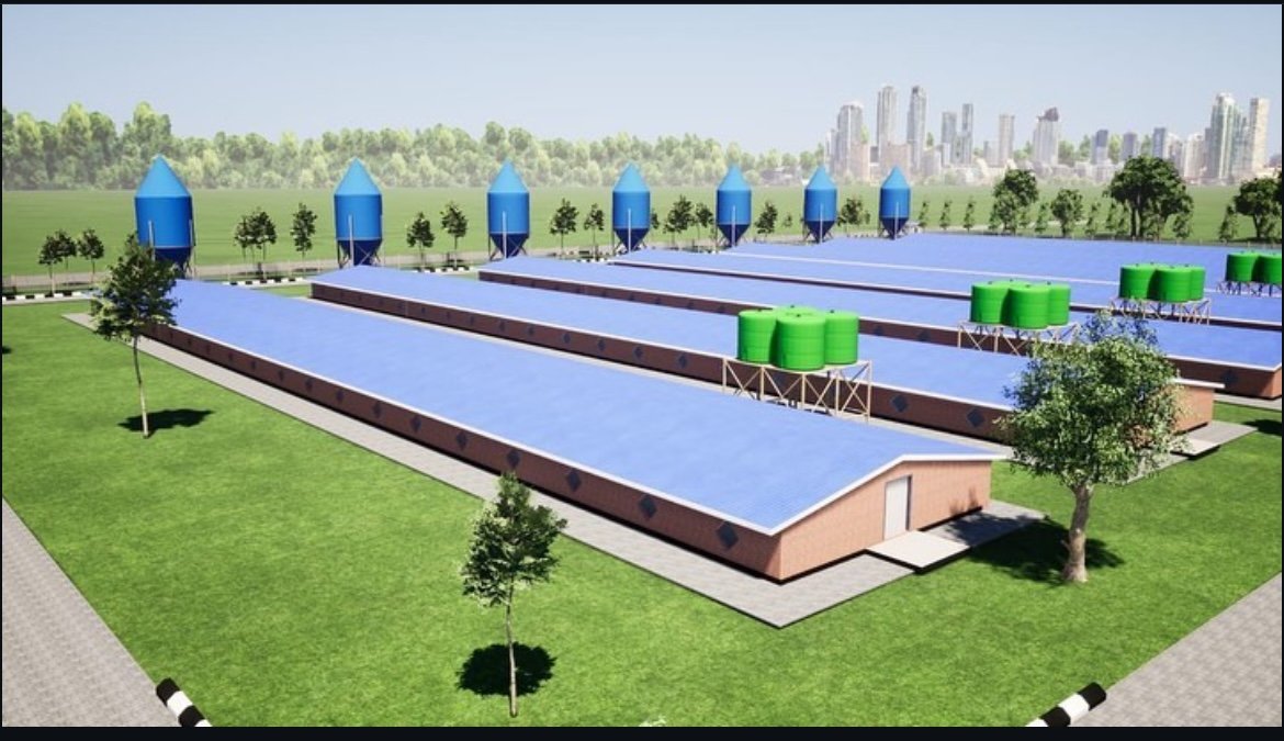 diharagirimana's tweet photo. Like and repost if you’re interested in amazing large-scale poultry farm design for 200,000 chickens
#PoultryFarming https://t.co/6qUxxFeNpd