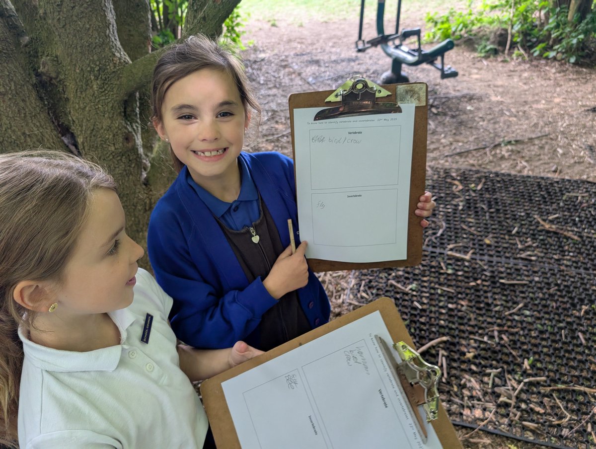 Winchelsea Year Four tweet media