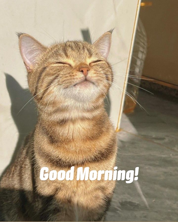 Gm friends ❤️😀❤️ 
$REP Points Added Instant Go &amp; Work  

1 Like 1 $REP  
1 Repost 1 $REP  
1 Comment 1 $REP  

Best way to Earn Rep 🌟️ Like retweet comment <a href="/ATTNtoken/">ATTN 👁️</a> &amp; <a href="/GiveRep/">GiveRep</a> 🌟️ 😊