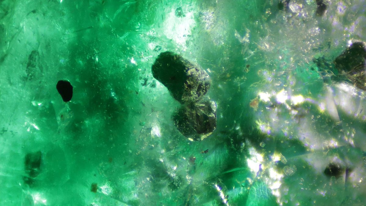 Inclusions in natural emerald 💚 

Emeralds are rarely flawless. Inclusions can help confirm natural origin and indicate locality, making them valuable markers for gemmologists.

Start learning today: gemintro.gem-a.com

📸 Pyrite in emerald, by Gabriel Kleinberg.