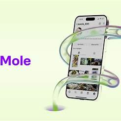 jumpingstocks's tweet image. Revolutionizing Payments with TransferMole

TransferMole is transforming the way we handle payments by linking social media usernames to various financial accounts.#TransferMole #FintechInnovation #SocialPayments #CryptoSimplified