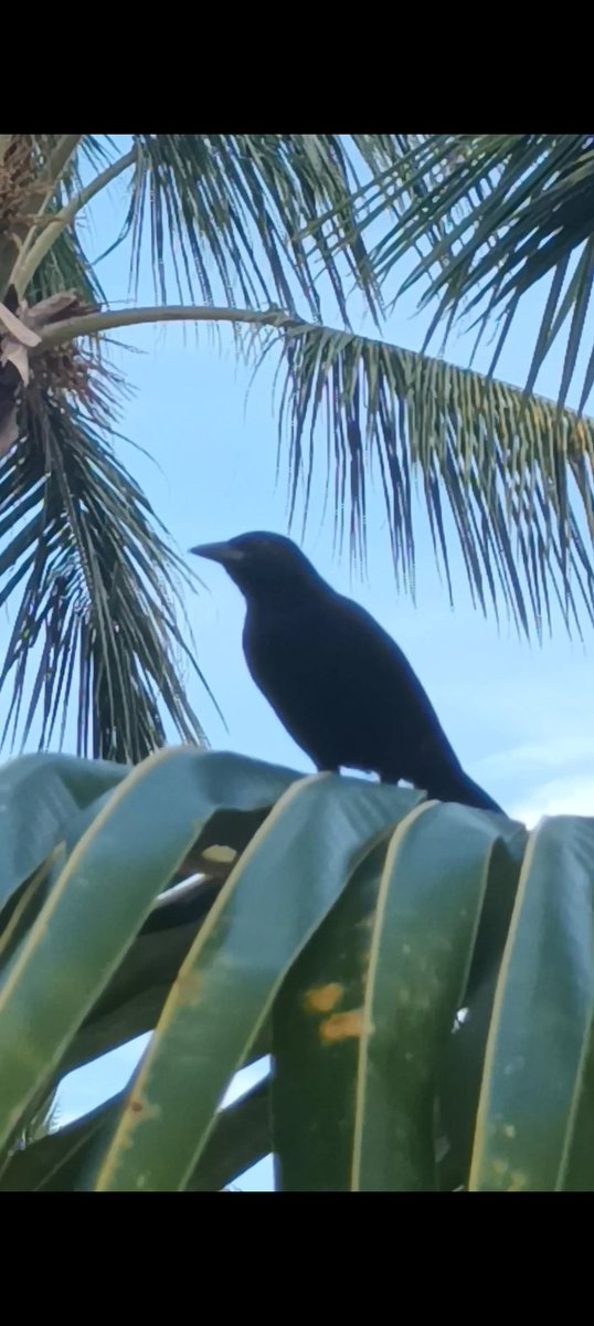 "Mira profundamente en la naturaleza y entonces comprenderás todo mejor".

Albert Einstein.