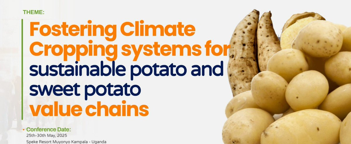 JONAM’S PRINCESS👑👑 (@atimcharlotte) on Twitter photo The focus at #APAUG2025 is
“Fostering climate-smart cropping systems for sustainable potato & sweet potato value chains.
Innovation, resilience & food security start with the right varieties & Uganda is leading that.
<a href="/APA_CONFERENCE/">African Potato Association</a> <a href="/narouganda/">NARO Uganda</a> <a href="/Cipotato/">International Potato Center</a> <a href="/CGIAR/">CGIAR</a> <a href="/MAAIF_Uganda/">MAAIF 🇺🇬</a> The focus at #APAUG2025 is
“Fostering climate-smart cropping systems for sustainable potato & sweet potato value chains.
Innovation, resilience & food security start with the right varieties & Uganda is leading that.
<a href="/APA_CONFERENCE/">African Potato Association</a> <a href="/narouganda/">NARO Uganda</a> <a href="/Cipotato/">International Potato Center</a> <a href="/CGIAR/">CGIAR</a> <a href="/MAAIF_Uganda/">MAAIF 🇺🇬</a>