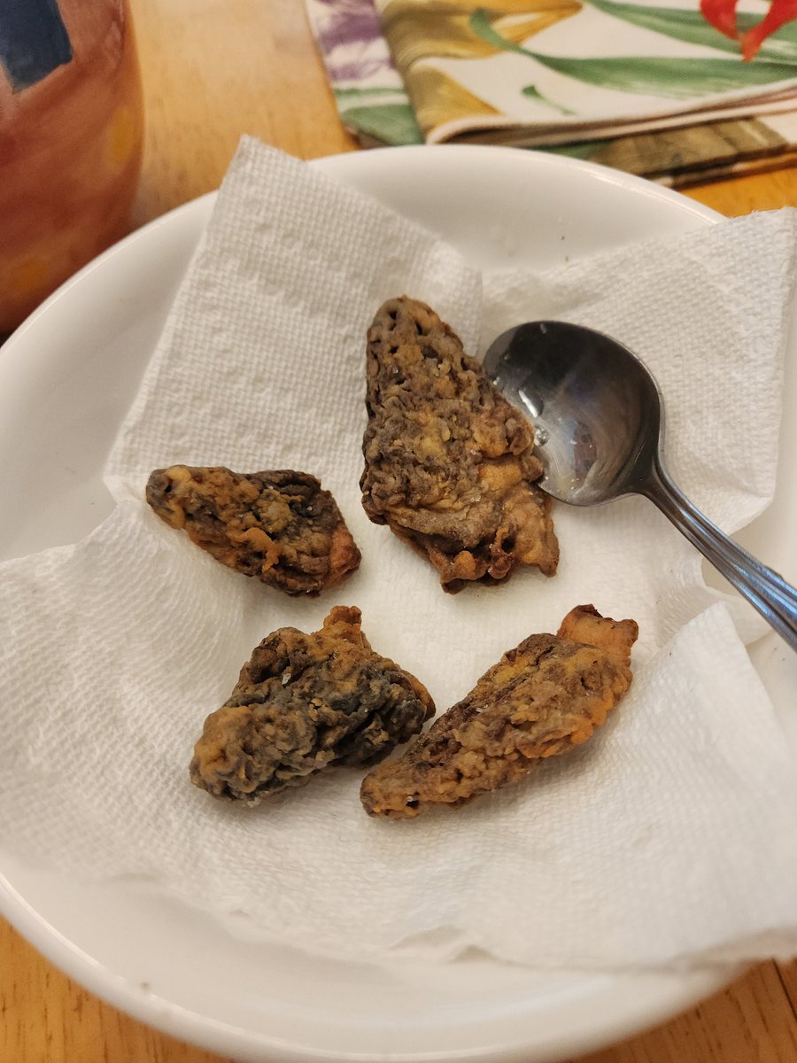 amphoera's tweet photo. you can fry a mushroom... its always morel.................. https://t.co/uurInMkR7v