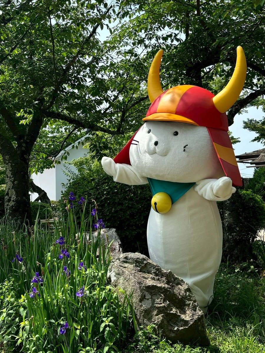 すけちゃん すけちゃん (@skcn_vab_17) / Posts / X