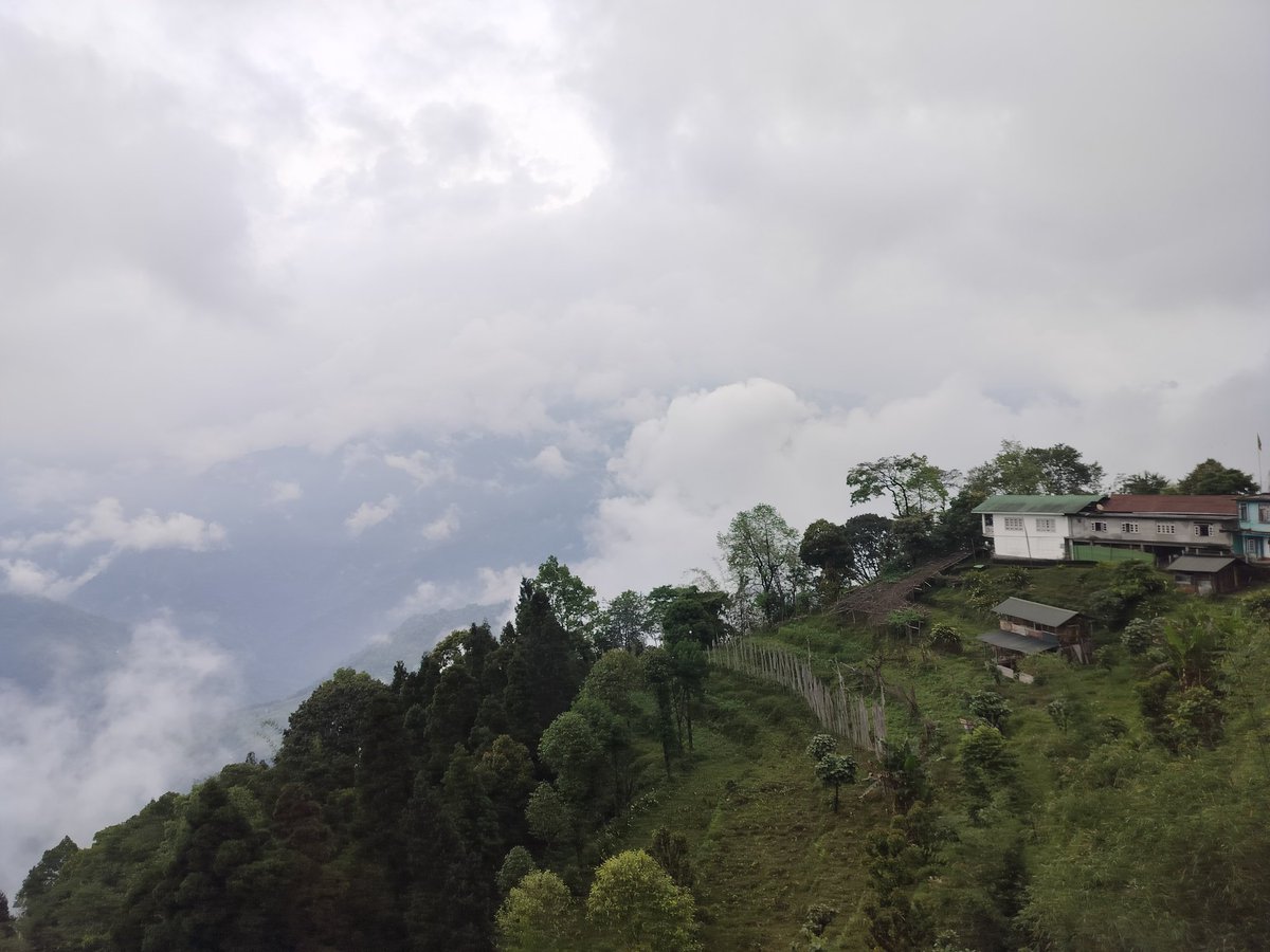 kotharivikash's tweet image. #NortheastIndia
#pelling