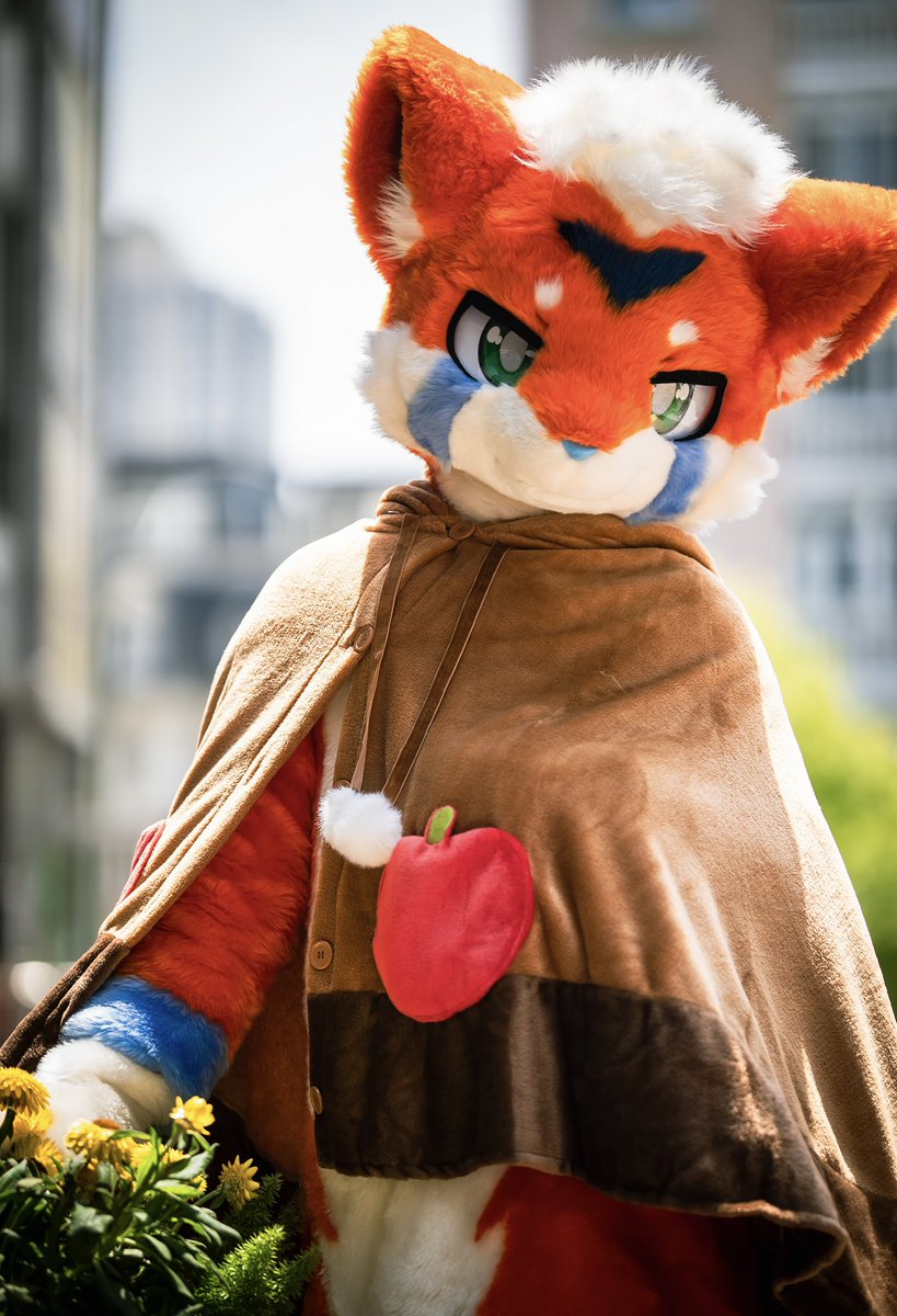 我努力看清 发现朦胧时最美好
#FursuitFriday