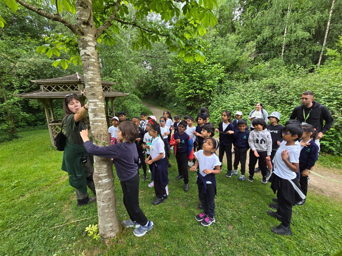 MrMakda_AMPA's tweet photo. Yead 3s explored Conkers on Monday. We made friends with chickens, rode the train like royalty, climbed many, many things, and most of all.. had a lot of fun! 10/10 educational chaos. Let's go again! @AbbeyMead_TMET https://t.co/zoHotCkYYh