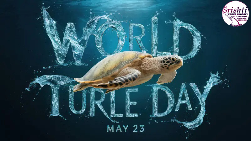 rahulmukesh's tweet photo. world turtle day
23 may 2025
#WorldTurtleDay2025 https://t.co/htc4xymU9x