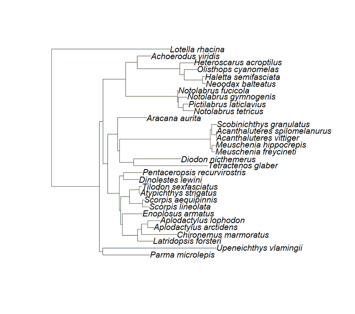 I'm trying to create a phylo tree for Australian temperate fish using the #fishtree package in R but half the species seem to be missing? Has anyone else had any success? or do I need to manually add the remaining species? Any advice appreciated!