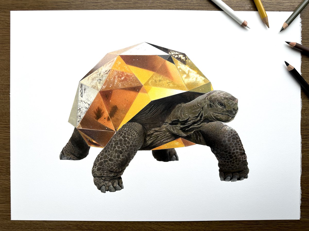 23%E4%B8%96%E7%95%8C%E4%BA%80%E3%81%AE%E6%97%A5