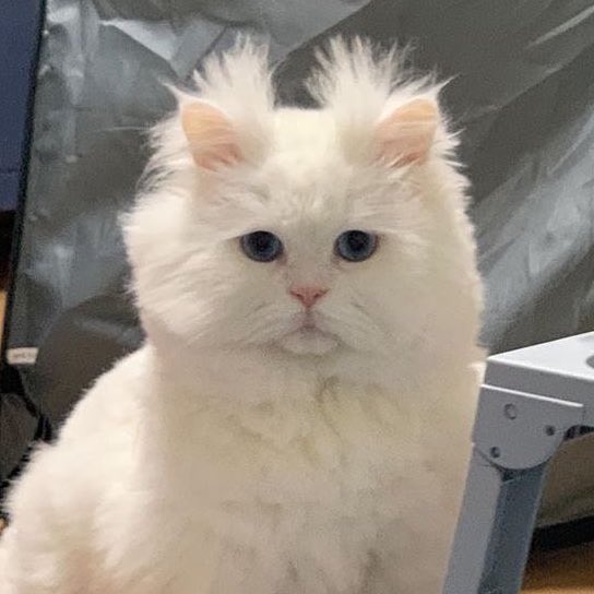 🎀 (@youngone_yk) on Twitter photo 