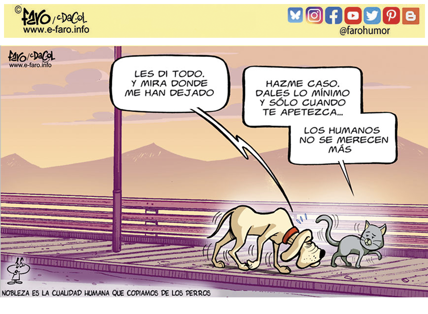 Nobleza es la cualidad humana que copiamos de los perros.