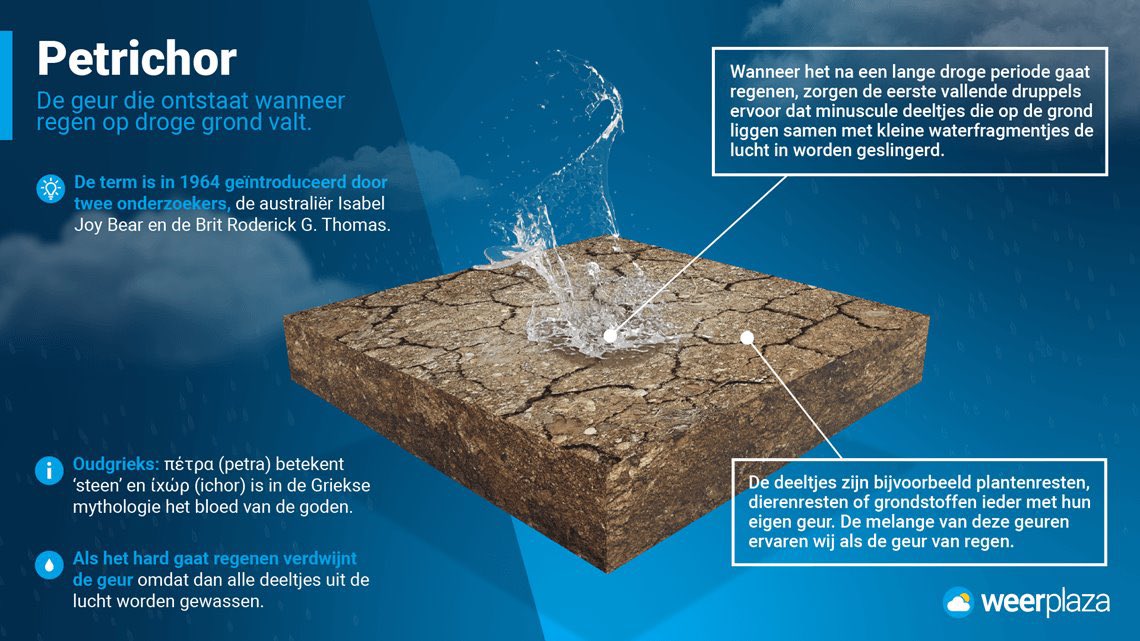 Petrichor! 
De geur die vrijkomt door regen na lange tijd van droogte…
