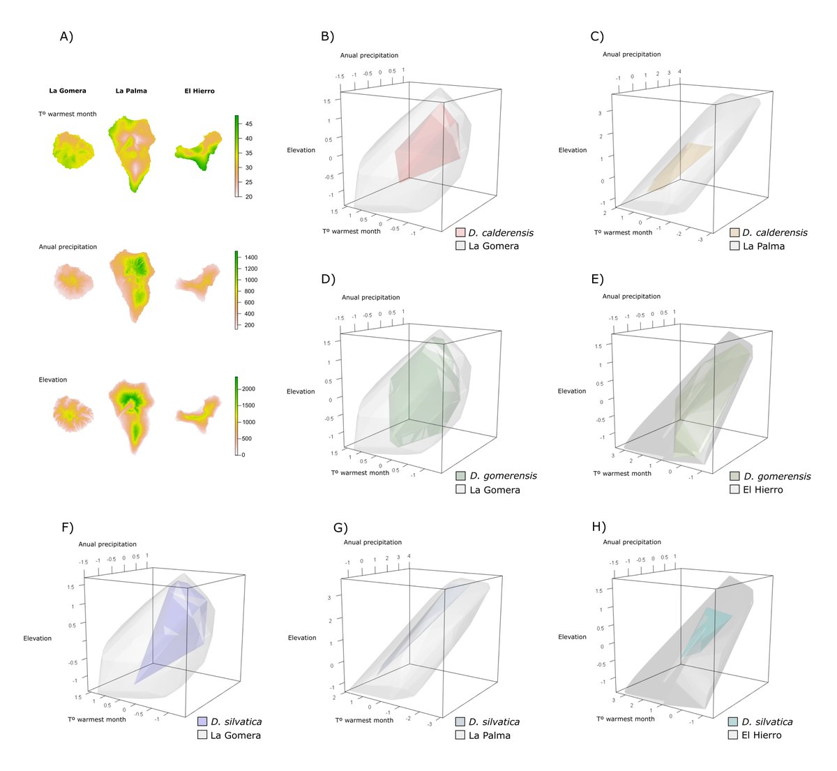 Adrià Bellvert (@adriabellvert) on Twitter photo Paper out🕷️📢! We explore the implications of different cheliceral morphotypes related to different trophic adaptations on the species' ability to undergo ecological release in the red devil spiders from the Canary Islands.
Full text at <a href="/InsectDiversity/">Insect Conservation and Diversity</a>:
doi.org/10.1111/icad.1… Paper out🕷️📢! We explore the implications of different cheliceral morphotypes related to different trophic adaptations on the species' ability to undergo ecological release in the red devil spiders from the Canary Islands.
Full text at <a href="/InsectDiversity/">Insect Conservation and Diversity</a>:
doi.org/10.1111/icad.1…