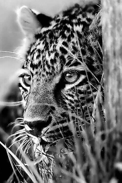 Marie (@m77481070) on Twitter photo 