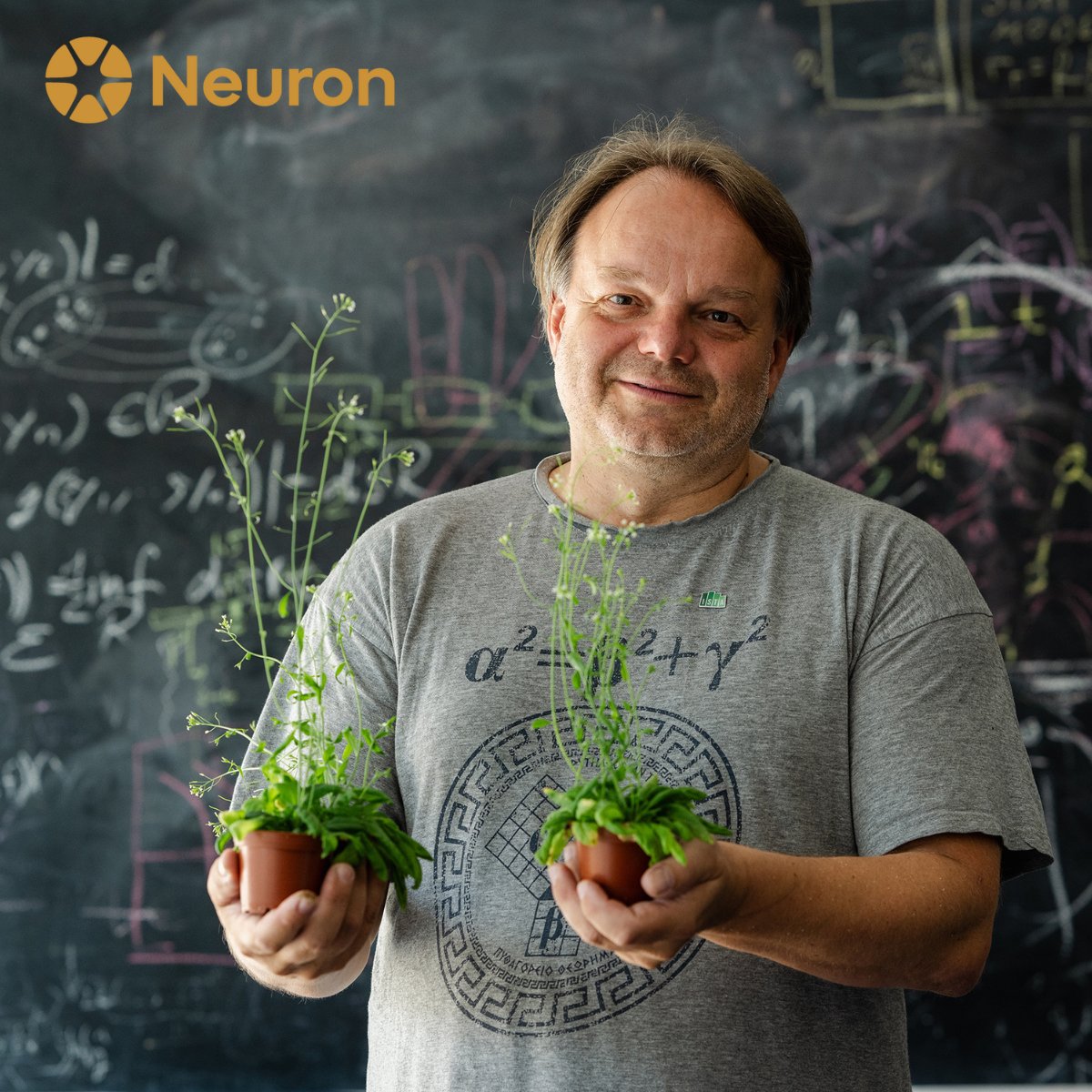🌱 Rostliny dokážou vypnout gravitaci!
Za sucha pošle kořeny směrem k vodě. MIZ1 = přírodní přepínač přežití.

Objev týmu laureáta Ceny Neuron Jiřího Frimla, zveřejněný v Nature Communications, může pomoci vyšlechtit odolnější plodiny.