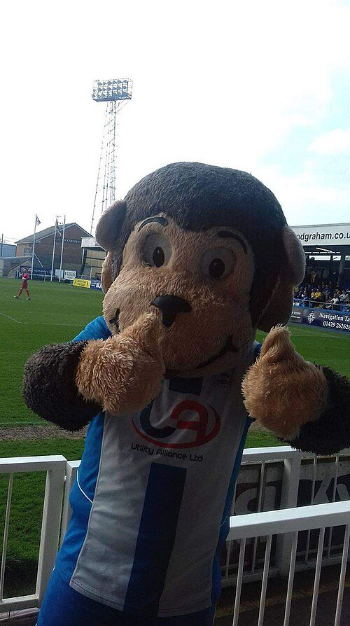 MackemBasher80's tweet photo. @CFCFico H'Angus from Hartlepool! Story is immense! Also can’t forget Wolfie who punched out the Bristol City mascot on the pitch at Ashton Gate! https://t.co/0tFunpNUwj
