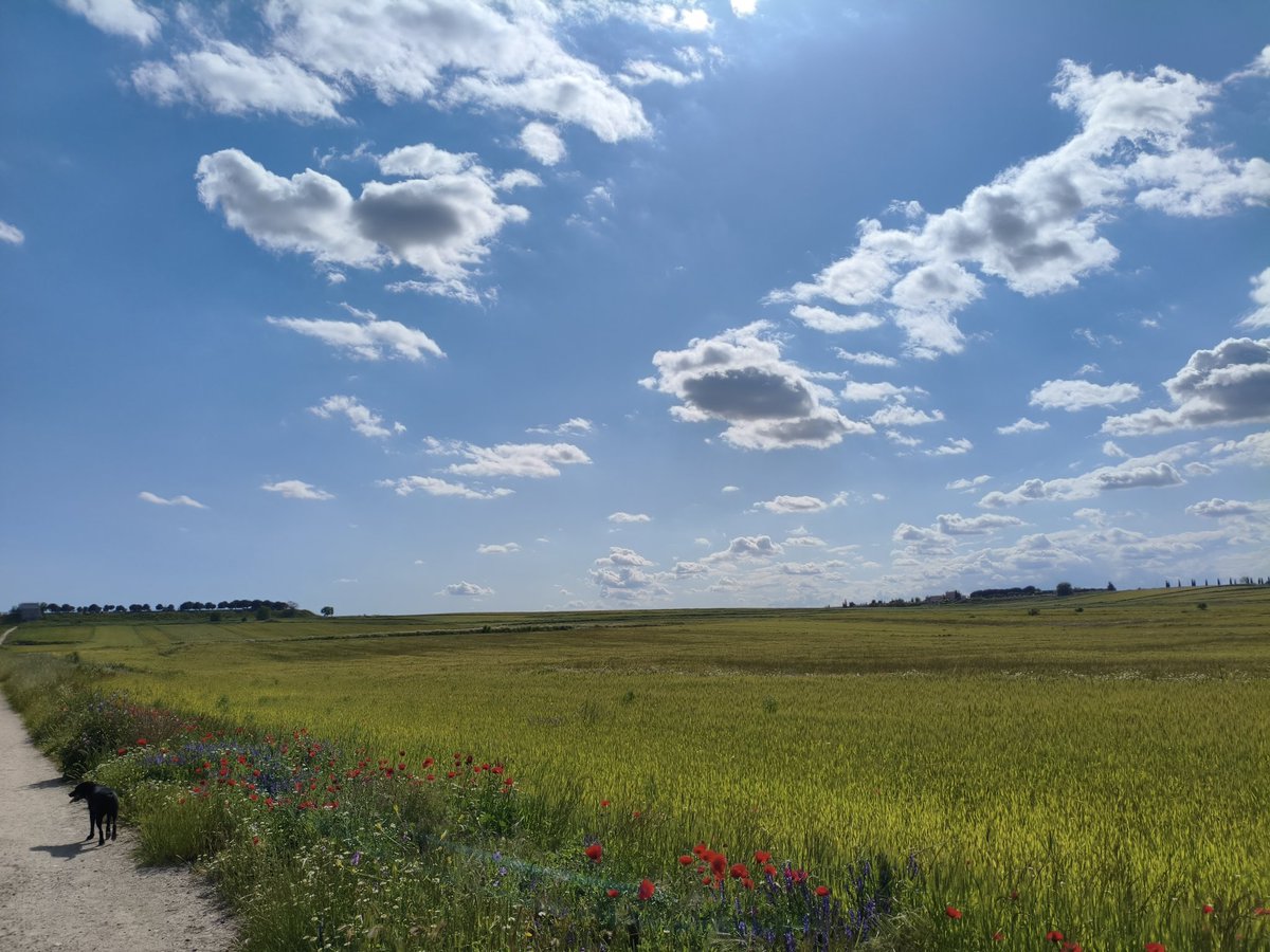 introvertido420's tweet image. Tranquilidad