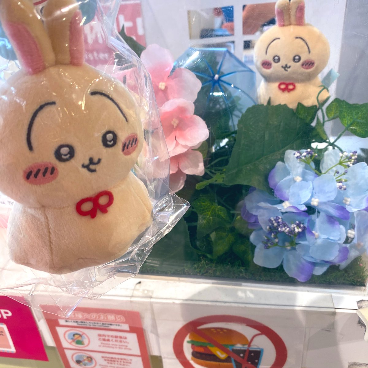 kurogomappp's tweet photo. ｳﾗﾔﾊ͛💠͛💠買えたのでぶっ飛ばして帰る https://t.co/jp2slltvLB