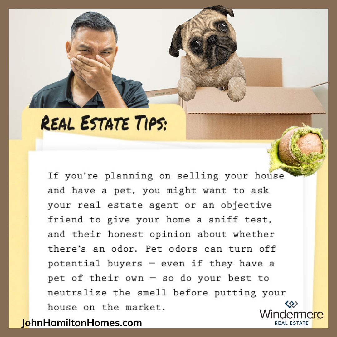 aDolphinCries's tweet image. #realestatetips #tipsforhomesellers