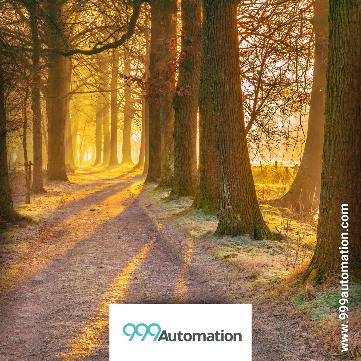 999Automation's tweet image. A quick note to let you know that we will be closed on Monday 26th May as we take a little time to enjoy the Spring Bank Holiday.

We’ll be back to business as usual on Tuesday 27th May, feeling fresh as daisies and ready to help!

We hope you enjoy the long bank holiday weekend!