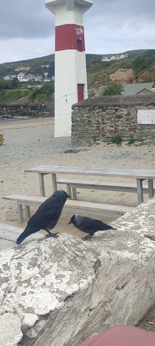 Morning coffee yesterday with friends. Not quite as sunny as it has been but lovely down at the #CosyNook on  #PortErinBeach with a  #NoaCoffee and an almond croissant. #IsleOfMan