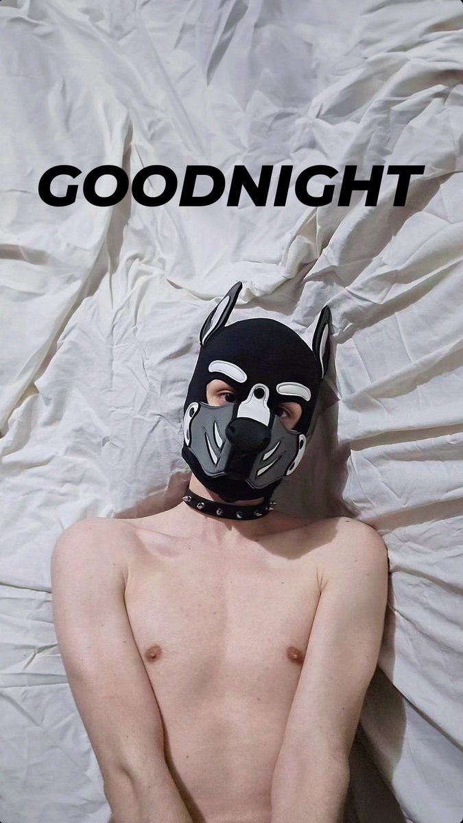 Lux is waiting for you to go to sleep!

#twink #puppyplay #sleep