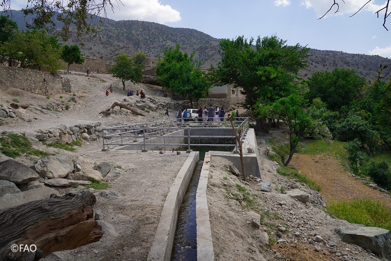 FAO in Emergencies (@faoemergencies) on Twitter photo Thanks to <a href="/isdb_group/">IsDB Group</a>, <a href="/OIC_OCI/">OIC</a>, and <a href="/SaudiFund_Dev/">الصندوق السعودي للتنمية</a> through the Afghanistan Humanitarian Trust Fund, <a href="/FAO/">Food and Agriculture Organization</a> has rehabilitated check dams and ponds in Sarkani District—boosting flood protection and water access for agriculture and livestock.
📷 bit.ly/4dB89Wg Thanks to <a href="/isdb_group/">IsDB Group</a>, <a href="/OIC_OCI/">OIC</a>, and <a href="/SaudiFund_Dev/">الصندوق السعودي للتنمية</a> through the Afghanistan Humanitarian Trust Fund, <a href="/FAO/">Food and Agriculture Organization</a> has rehabilitated check dams and ponds in Sarkani District—boosting flood protection and water access for agriculture and livestock.
📷 bit.ly/4dB89Wg