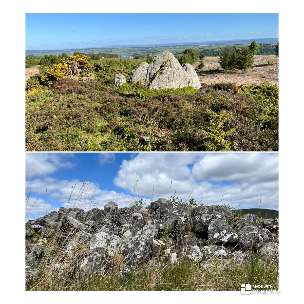 AnnieScottArch (@anniescottarch) on Twitter photo Inspirational day at the Easter Ross chambered cairns with <a href="/ArchScot/">Archaeology Scotland</a> #summerschool Inspirational day at the Easter Ross chambered cairns with <a href="/ArchScot/">Archaeology Scotland</a> #summerschool