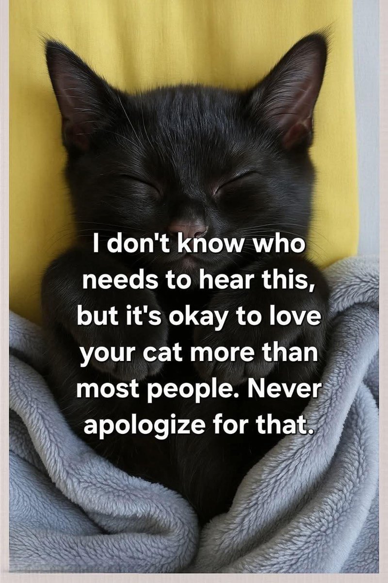 PeterAskin1's tweet photo. Via Edmonton Cold Weather Animal Rescue Society #EdmontonAB #Canada https://t.co/ZNZDyPbDFE
