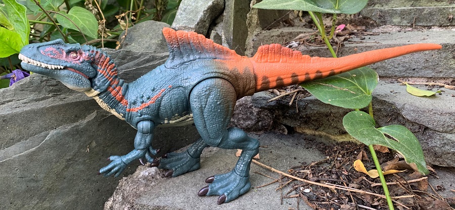 Las figuras coleccionables del cazador jorobado de #Cuenca, las diferentes reconstrucciones en miniatura de #Concavenator recopiladas por Charlie Charmer:

▶️ koprolitos.blogspot.com/2025/05/las-fi…
#dinosaur #toys