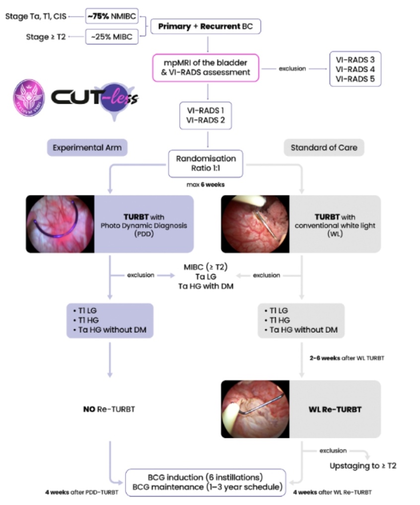 Alastair Lamb (@lambalastair) on Twitter photo Enjoyed seeing <a href="/f_delgiudice/">Francesco, Del Giudice</a> present planned RCT of PDD vs white light #TURBT during <a href="/GuysUrology/">Guy's Urology News</a>
#FridayMorningMeeting amidst talk on outstanding conundrums in #BladderCancer
Why do we re-resect NMIBC?
Why do we cystectomise T0?
bjui-journals.onlinelibrary.wiley.com/doi/10.1111/bj…
<a href="/BJUIjournal/">BJU International</a> Enjoyed seeing <a href="/f_delgiudice/">Francesco, Del Giudice</a> present planned RCT of PDD vs white light #TURBT during <a href="/GuysUrology/">Guy's Urology News</a>
#FridayMorningMeeting amidst talk on outstanding conundrums in #BladderCancer
Why do we re-resect NMIBC?
Why do we cystectomise T0?
bjui-journals.onlinelibrary.wiley.com/doi/10.1111/bj…
<a href="/BJUIjournal/">BJU International</a>