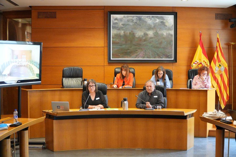 📣 Comparecencia de Pilar Pérez Lapuente en las Cortes de Aragón

🗓️ El pasado 21 de mayo, nuestra gerenta, Pilar Pérez Lapuente, participó en la primera sesión de audiencias legislativas sobre la Proposición de Ley del Estatuto de las Mujeres Rurales de Aragón.