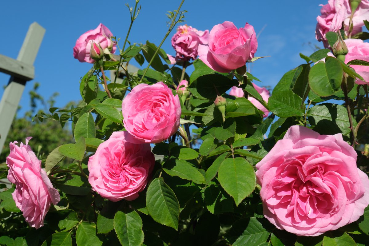 Jim AC Everett 🇬🇧🏳️🌈 tweet media