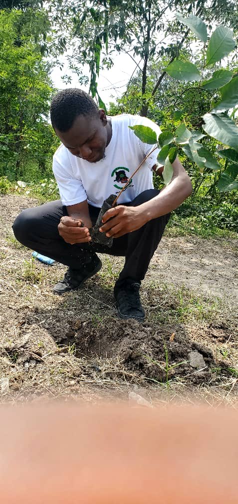 Amini16's tweet image. Yesterday in Kisangani, we celebrated #BiodiversityDay with tree planting & school outreach.
Each tree = hope for our ecosystems.
Each student = a future guardian of nature.
Conservation must be inclusive, practical & rooted in community.
#ConservCongo #ActForNature