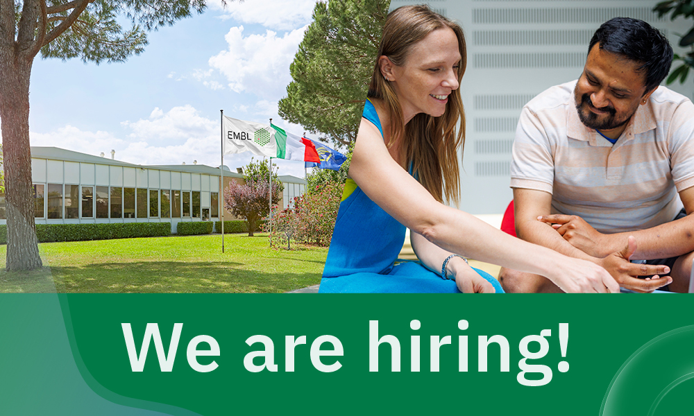EMBLRome's tweet image. 🧬Join EMBL as a Group Leader in Molecular Mechanisms of Environmental Adaptation!
EMBL is seeking a passionate and innovative scientist to establish an independent research laboratory at our Unit in Rome 🇮🇹
📅 Application Deadline: 25 June 2025
ℹ️: embl.wd103.myworkdayjobs.com/en-US/EMBL/job…