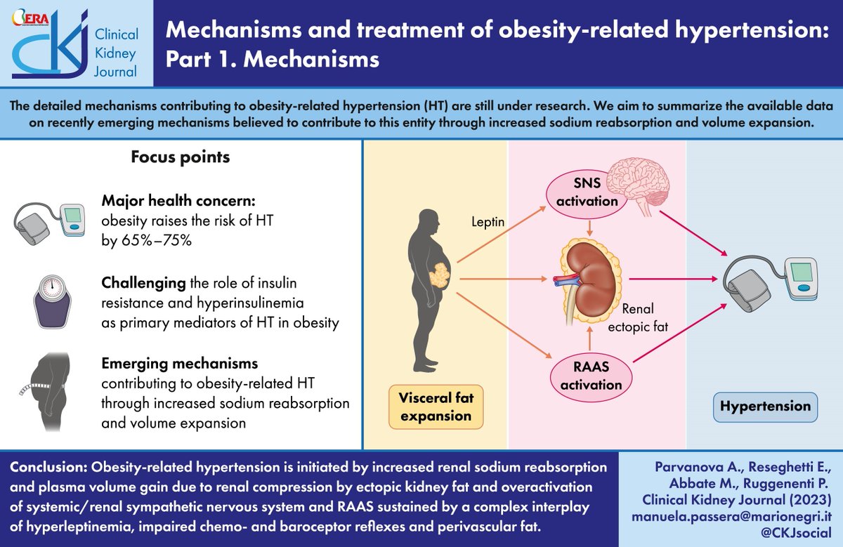 Mechanisms and treatment of obesity-related hypertension—Part 1: Mechanisms

doi.org/10.1093/ckj/sf…