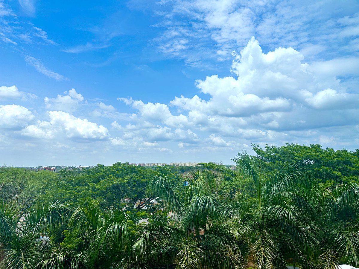 Shravan Sharad Nadkarni (@oncoshravan) on Twitter photo When the view outside the Operation theatre looks this beautiful š
ā¦<a href="/BalcoMedical/">BALCO Medical Centre</a>ā© When the view outside the Operation theatre looks this beautiful š
ā¦<a href="/BalcoMedical/">BALCO Medical Centre</a>ā©