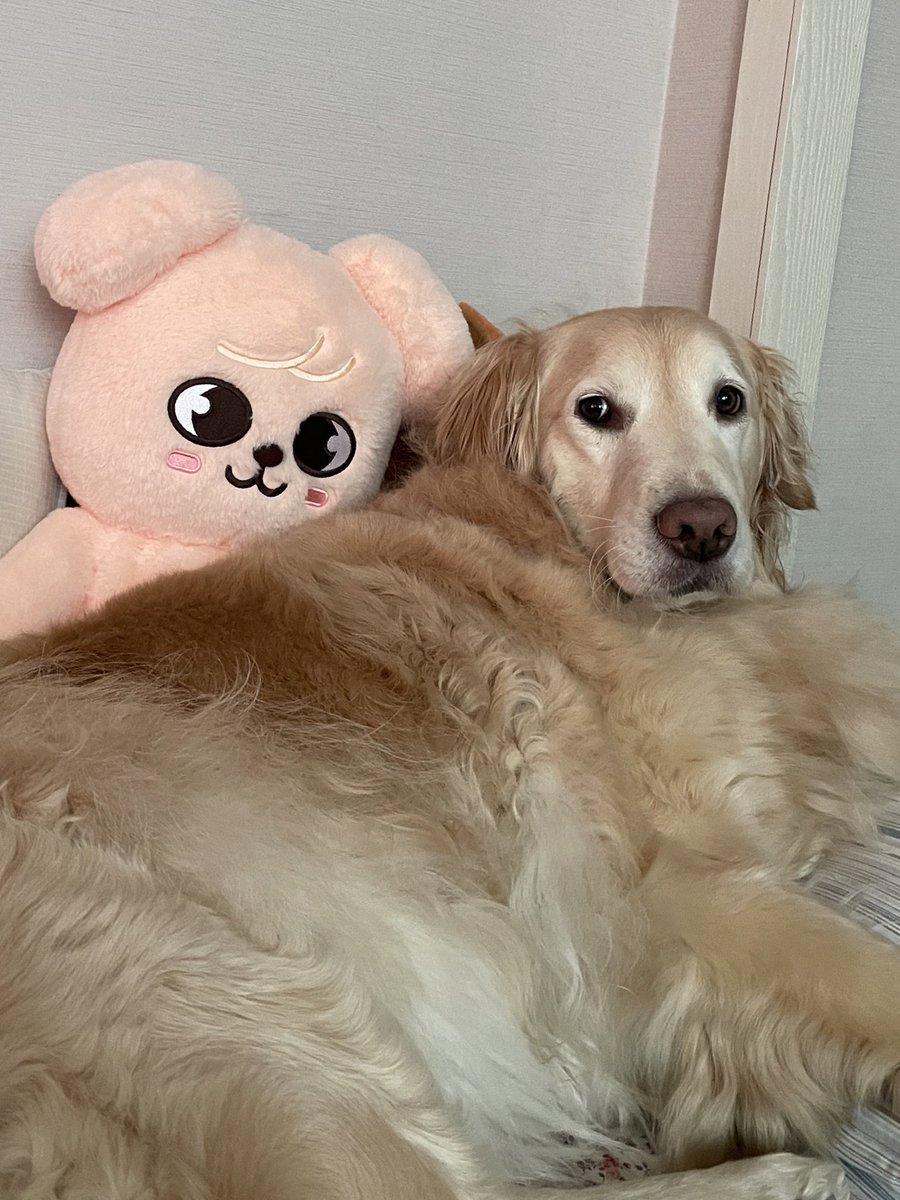 ruby_sm_'s tweet image. 👀