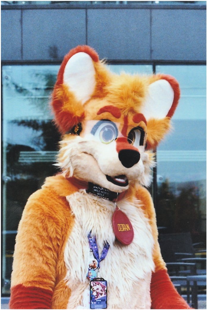 Maned and fabulous

🐺 <a href="/DedranManedWolf/">Dogtor Dedran 🔜 BFF, FBL</a> 
📷 <a href="/Hatigre_/">Hatigre</a>