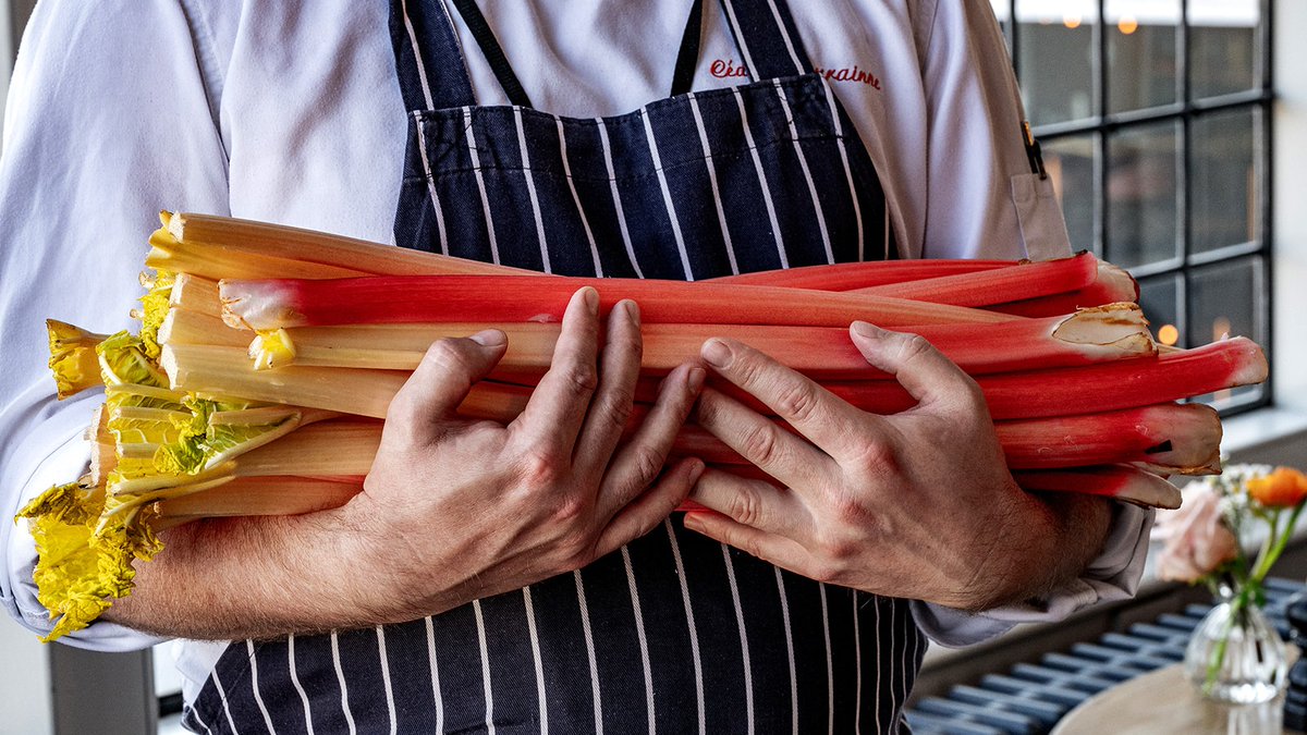 Rhubarb season is in full swing at the Swan! Indulge in a delicious dessert of vanilla panna cotta and poached Yorkshire rhubarb, readily available as the perfect pudding on our current à la carte and latest River View line-ups.

#rhubarb #seasonalfood #springseason