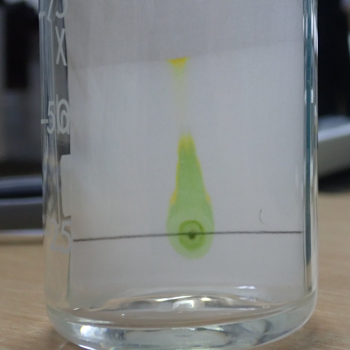 Rather than chromatography of coloured pens, it is a bit more exciting to see if the green extract of plant leaves is a single substance. Collecting leaves, grinding them up, and then running the Chromatogram in Petroleum Ether introduces solvents other than water.