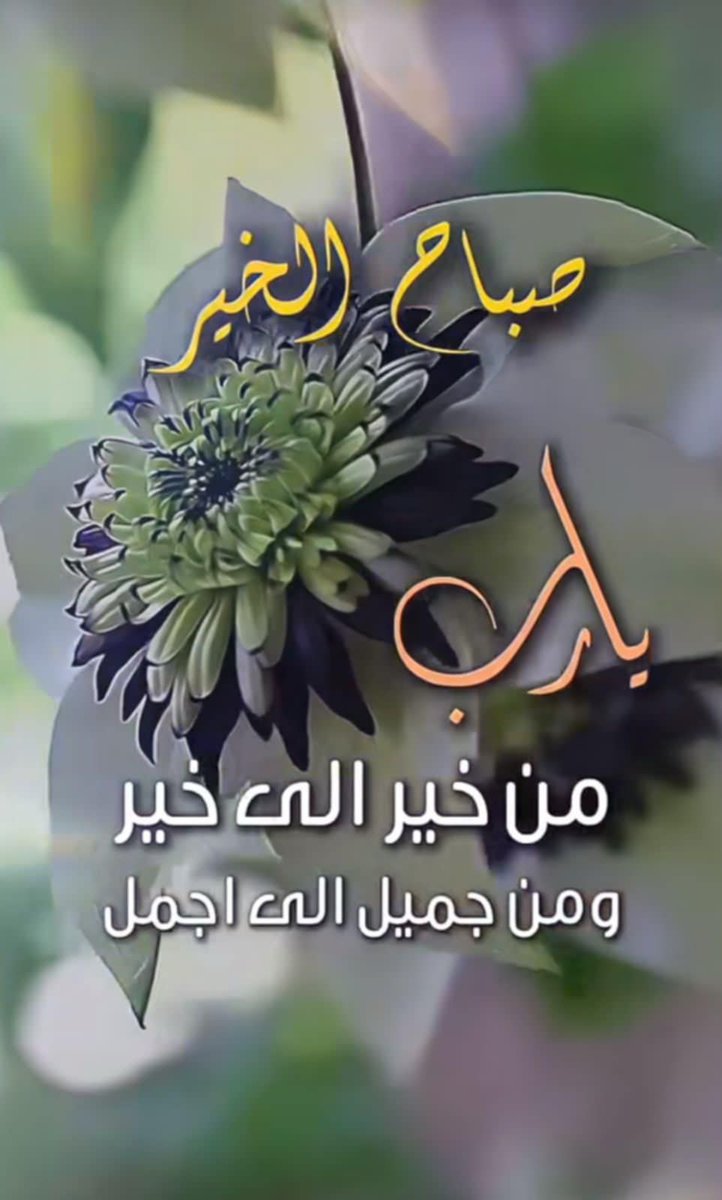 حصه حمدان🗽🗽 tweet media