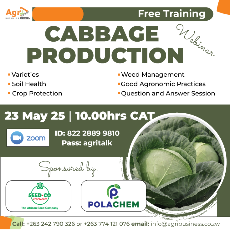 #HappeningNow 

The Business of Cabbage Farming Free Online Training

Date: Friday 23 May 2025
Time: 10am CAT
Location: Zoom

Zoom Link
us06web.zoom.us/j/82228899810?…

Meeting ID: 822 2889 9810
Passcode: agritalk