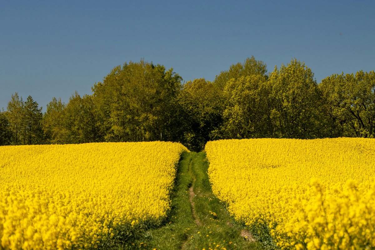We hope you have a relaxing May half-term break. If you need to contact us during this period we will have special half-term opening hours, please see below:

buff.ly/pD8Peth