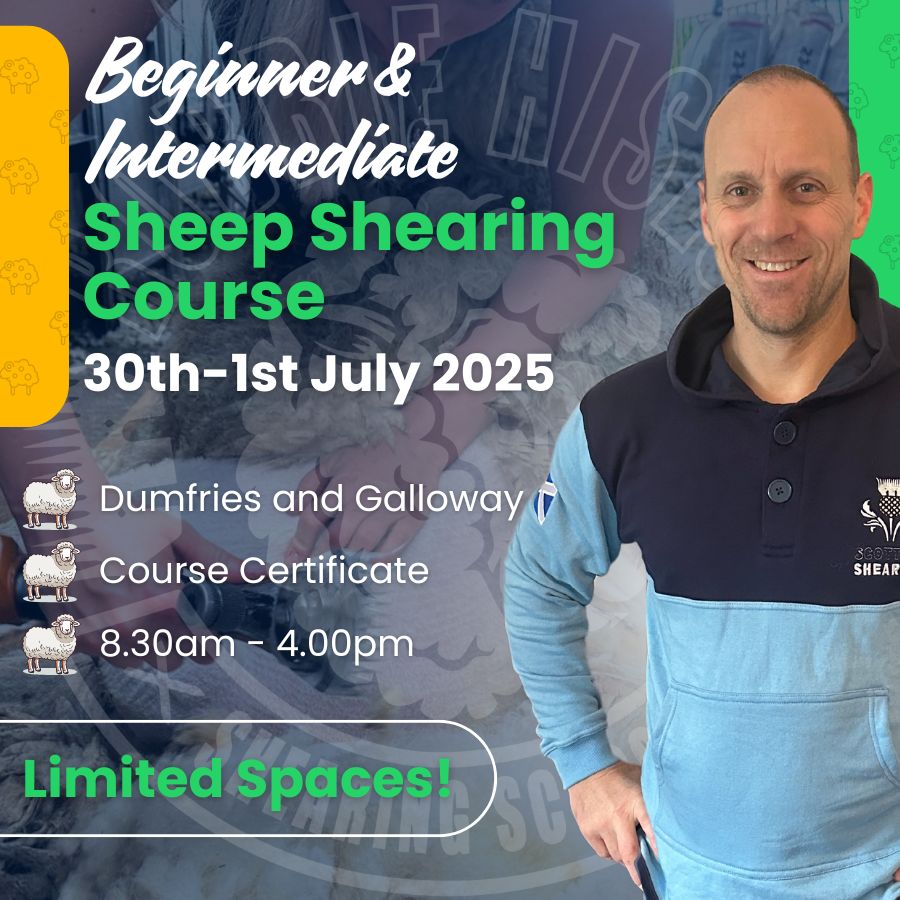 SHEARINGSCHOOL's tweet image. Level up your shearing! 

Join the 2-day Beginner/Intermediate course in Dumfries &amp;amp; Galloway, 30th June - 1st July 2025. 

Limited spots, lunch &amp;amp; accom included. Book now!

👉 shearingschool.co.uk/product/2-day-… 

#SheepShearingCourse #FarmSkills #RobbieHislop