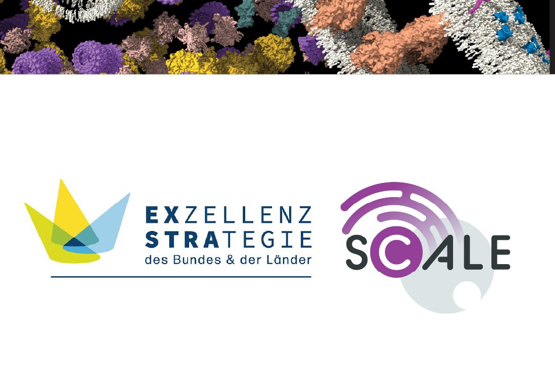 SCALE@Uni-Frankfurt (@scale_uni_ffm) on Twitter photo 🎉 We’re absolutely thrilled: SCALE has been selected as a DFG Excellence Cluster!
A huge thank you to our incredible team—this would not have been possible without your dedication and talent. 🙌
<a href="/dfg_public/">DFG public | @dfg_public@wisskomm.social</a> #Exzellenzstrategie #SCALEcluster 🧵 🎉 We’re absolutely thrilled: SCALE has been selected as a DFG Excellence Cluster!
A huge thank you to our incredible team—this would not have been possible without your dedication and talent. 🙌
<a href="/dfg_public/">DFG public | @dfg_public@wisskomm.social</a> #Exzellenzstrategie #SCALEcluster 🧵