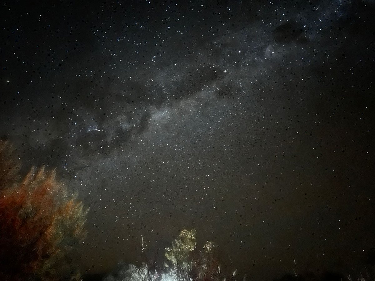In the heart of Namibia’s Omaheke Region, the night sky tells a story like no other. This is a story the San people know by heart. At Harnas Guest Farm, the Milky Way stretches above in stunning detail – a quiet, unforgettable moment under a canopy of stars. #Harnas #Naankuse