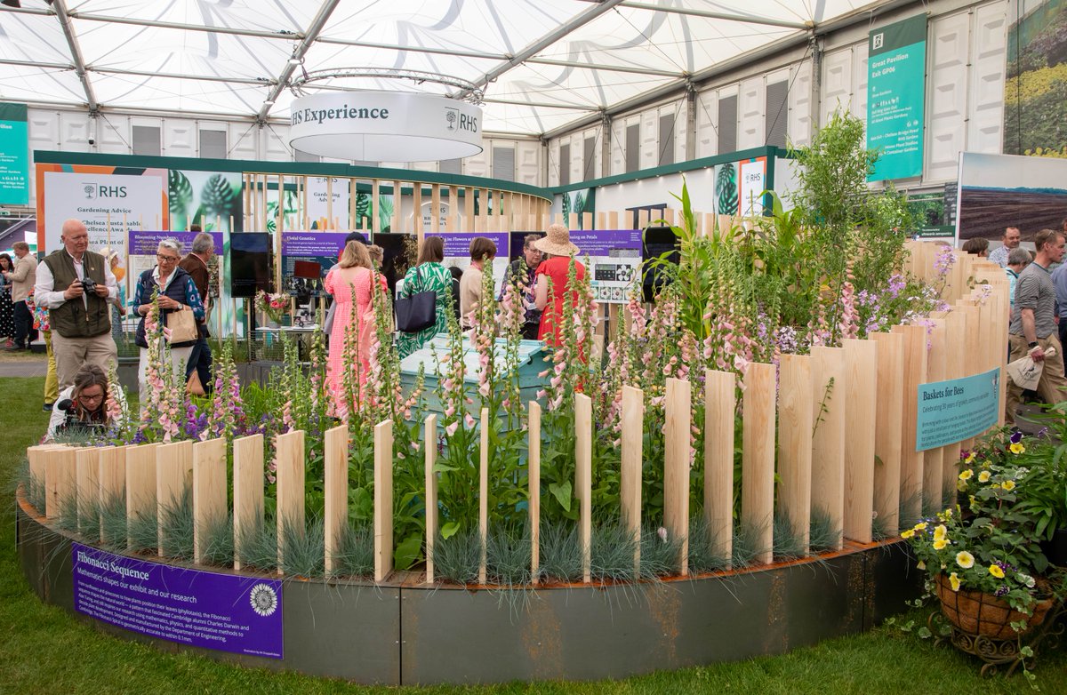 Cambridge University tweet media